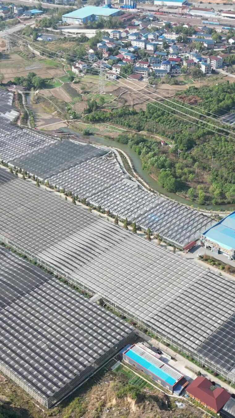 竖版航拍农业大棚种植基地航拍