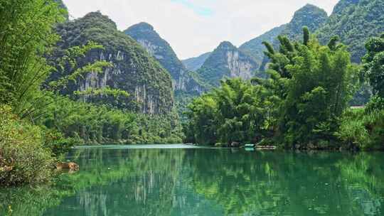 美丽江河畔竹子竹林自然风景