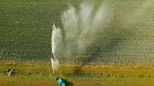 鸟瞰灌溉系统灌溉田地瞰灌溉在日落时灌溉