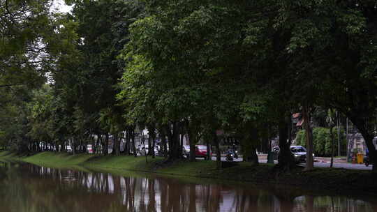 泰国清迈曼谷绿树大树绿植湖泊河流