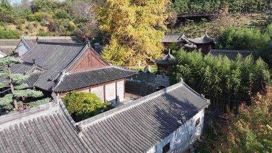 古观音禅寺银杏树