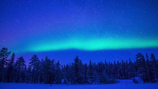 冬季森林的北极光。时间流逝