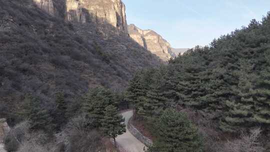 山间小路旁的茂密树林和陡峭山壁