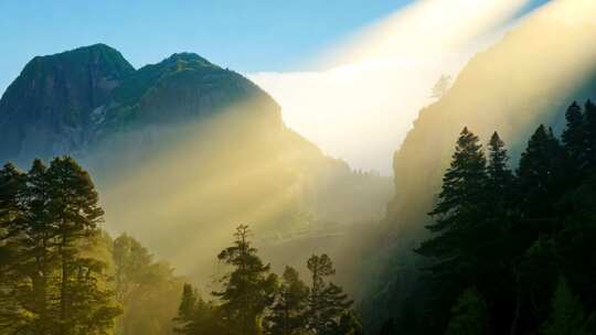 日光穿雾 雾林朦胧 梦幻山谷秘境