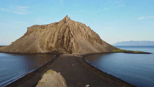 竹富火山山坡上的蝾螈鸟群