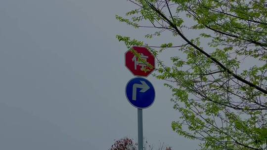 交通指示牌右转和停车等待
