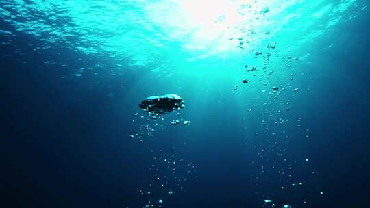 水底海底气泡视频素材模板下载