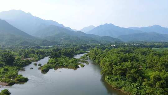 城市绿地洋湖湿地公园绿水园林