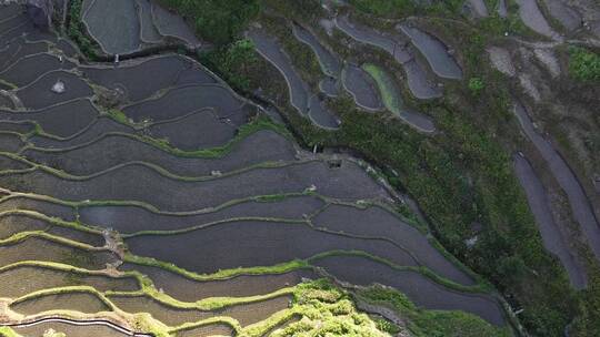 航拍山村田园湖南紫鹊界梯田