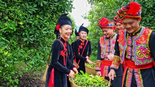 澳洲坚果 夏威夷果