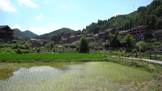 三江侗族程阳八寨古村落田园风光特写 4k