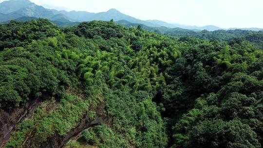 湖南衡阳花果山视频素材模板下载