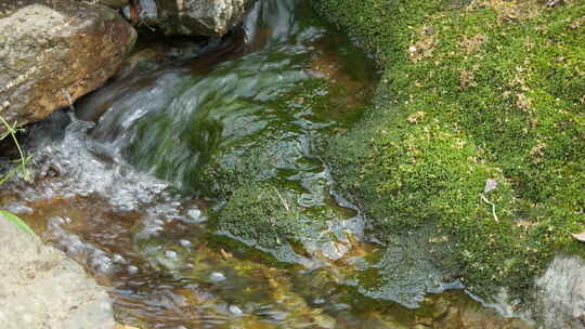 春天清澈山泉水湍急小溪青苔藓