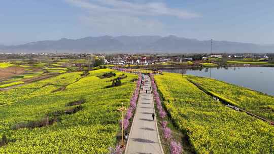 航拍汉中皇塘油菜花海