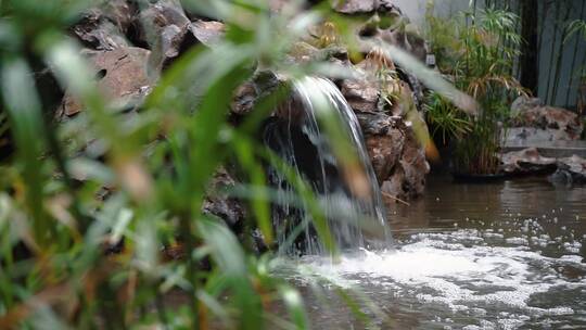 江南烟雨园艺中国海棠树花锦鲤景观设计花坛