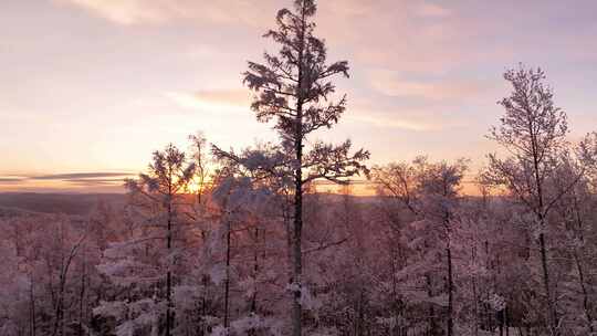 大兴安岭冰雪世界雪森林雾凇-1