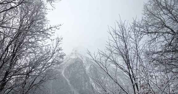 从远处看雪山