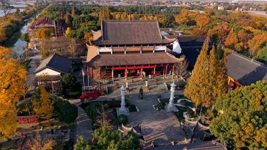 浙江嘉兴梅花洲石佛寺千年银杏航拍