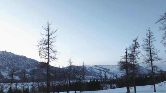 冬季喀纳斯湖雪山脚下汽车在积雪路面上行驶