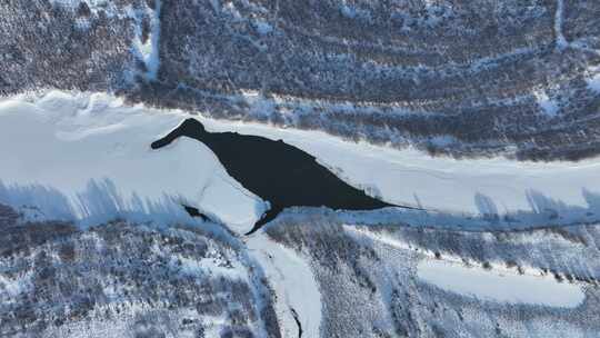 航拍呼伦贝尔冬季风光海拉尔河湿地雪景