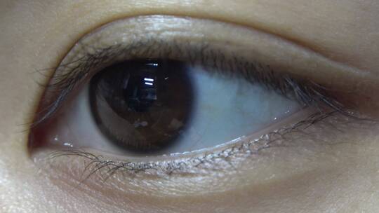 眼睛眼神眼球瞳孔特写灵动的眼睛特写视频素材模板下载