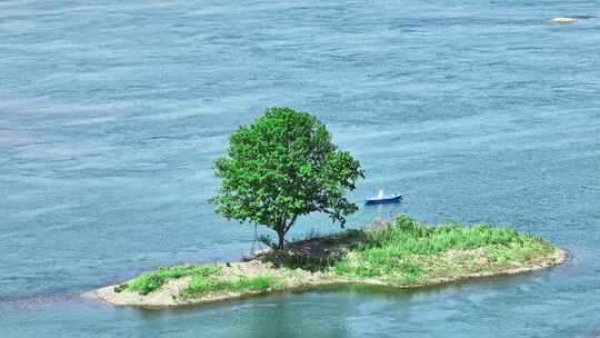 航拍孤独岛上一棵树