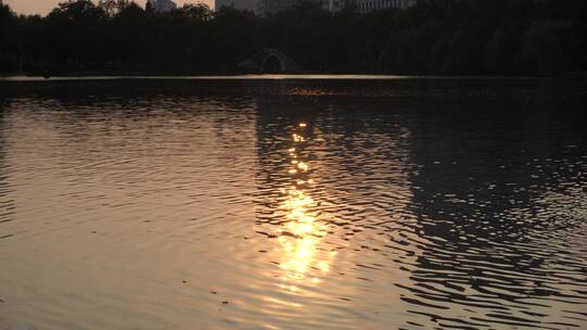 夕阳湖面泛起光晕视频素材模板下载