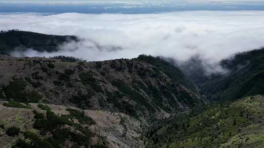 高山云海山顶云雾延时视频素材模板下载