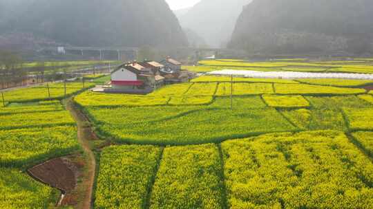 合集 航拍春天乡村油菜花田