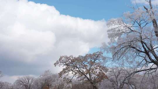吉林四方顶景区山顶雾凇风光美景