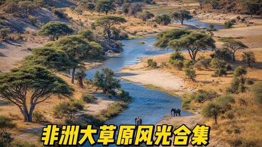非洲大草原野生动物风光