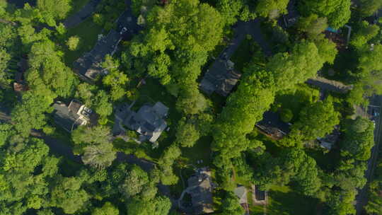 长岛罗斯林村树木中的房屋俯瞰鸟瞰图