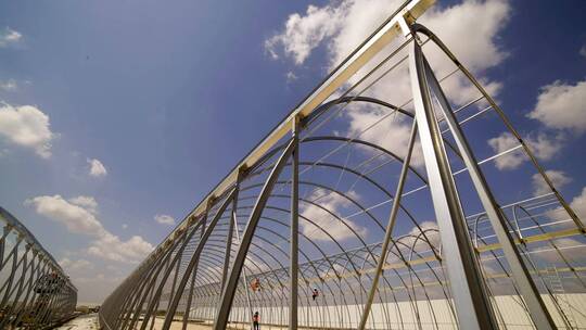 高端大气农业大棚搭建建造温室现代农业