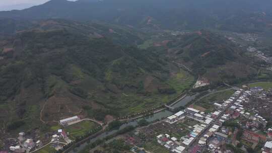 福建省龙岩市漳平水仙生态茶园航拍