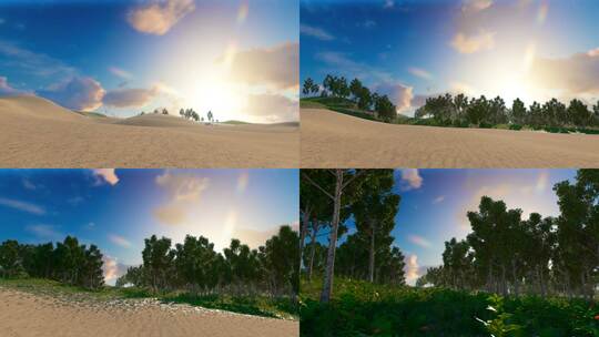 【4K】沙漠变绿洲植物树木生长创意镜头视频素材模板下载