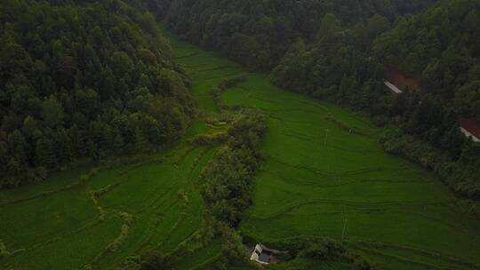 江西绿色青山林地