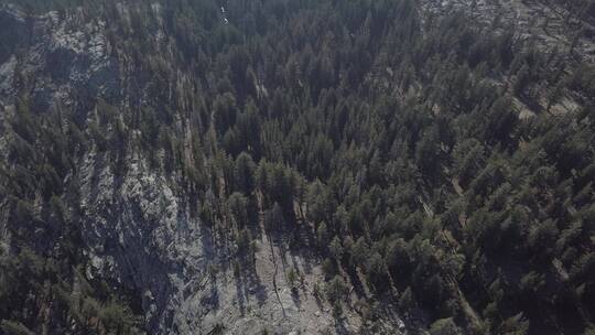 无人机拍摄国家公园森林景观