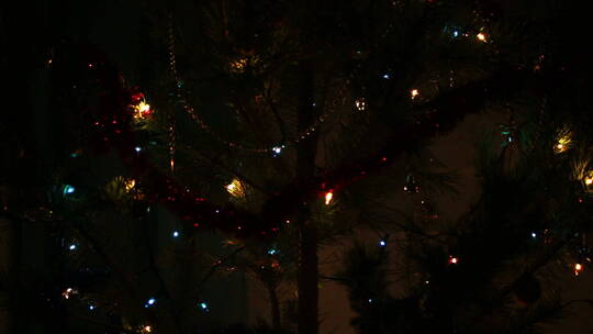 圣诞树闪烁花环视频素材模板下载