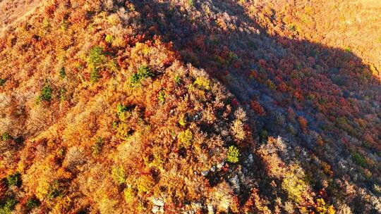 辽阳龙石景区山林秋季风光