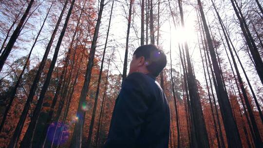 男人在树林行走思索思考4k视频素材