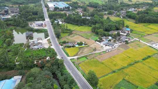 四川盆地九月河道田野平原样貌