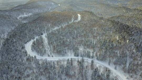 日本北海道大雪山国家公园森林公路