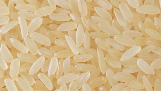 大米白米稻米视频素材模板下载