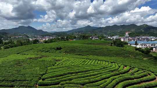 航拍茶园绿色环保千山茶园茶叶最美茶园