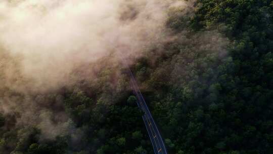 穿过云层森林盘山公路