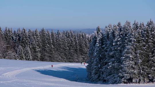 积雪覆盖大自然森林散步滑冰的人