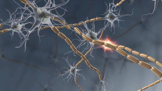 3D神经元神经传导动画视频素材模板下载