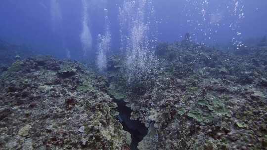 水下世界海底世界