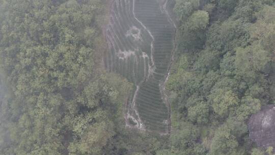 武夷山日出云海