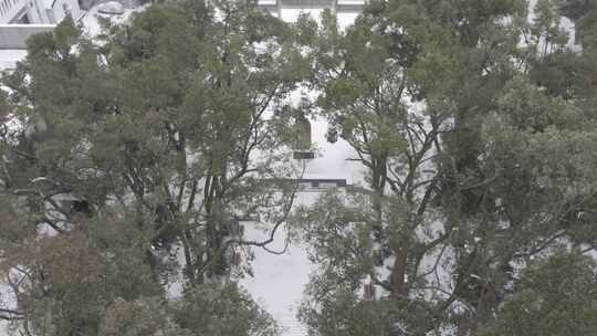 武汉武昌区施洋烈士陵园雪景航拍